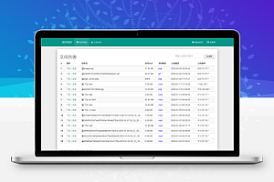 彩虹外链网盘V5.4更新 新增用户系统与分块上传