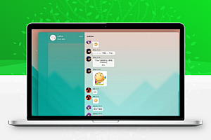 2023年非常漂亮的fiora二次元聊天室宝塔源码+搭建教程